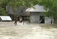 ভেঙে গেছে টাঙ্গাইল বেড়িবাঁধ, প্লাবিত হচ্ছে গ্রামের পর গ্রাম