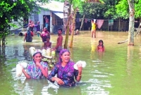হঠাৎ হু হু করে বাড়ছে পদ্মার পানি, প্লাবিত হচ্ছে একের পর এক এলাকা হঠাৎ হু হু করে বাড়ছে পদ্মার পানি, প্লাবিত হচ্ছে একের পর এক এলাকা