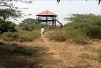 ‘ছেলেগুলোকে মারো, মেয়েটাকে রেখে দাও’