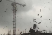 'কবুতরের' তাণ্ডবে হতাহত শতাধিক