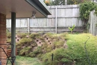 আপনি বাড়ির পেছনের বিশাল অজগর সাপটি দেখতে পাচ্ছেন কি?