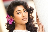 একটি বস্তি এলাকায় দিনের পর দিন কাজ করতে হয়েছে পাওলি দামকে