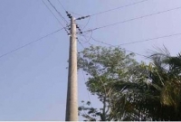 বিদ্যুতের খুঁটিতে বেঁধে নিষ্ঠুর নির্যাতন, জোর করে খাওয়ানো হলো মল-মূত্র!