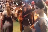 পশুর হাটে প্রতি গরুর সাথে একজন করে সুন্দরী মেয়ে!