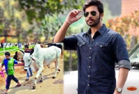 ভাই, দাম কত? শেষ পর্যন্ত শাকিব খানও!