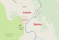 কোরবানি করতে গিয়ে প্রাণ গেল রোহিঙ্গা দম্পতির