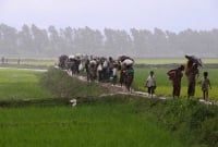 ৮ দিনে ৬০ হাজার রোহিঙ্গা ঢুকেছে বাংলাদেশে: জাতিসংঘ