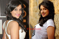 কোন ক্রিকেটারের সঙ্গে প্রেম করছেন পরিণীতি?