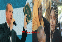 জাতিসংঘ সাধারণ পরিষদের সভায় রোহিঙ্গাদের নিয়ে কথা বলবেন এরদোয়ান