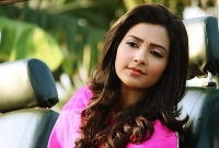 আবারও প্রেমে পড়েছেন শুভশ্রী