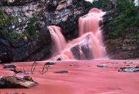 এমন গোলাপি নদী দেখেছেন কখনো?