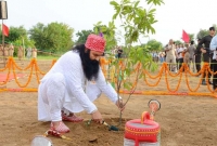 রাম রহিমের ডেরার মধ্যে গণ-কবর, ৬০০ কঙ্কাল উদ্ধার
