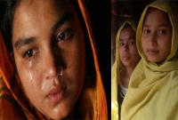 সুন্দরী মেয়েদের তুলে নিয়ে জুলুম করে, হাত-পা, বুক কেটে ফেলে দেয় মিয়ানমার সেনাবাহিনী