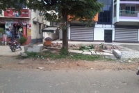 অসুস্থ মেয়ে শুধু কাঁদে, নর্দমায় ছুঁড়ে ফেলে দিলো বাবা