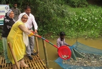 পলাশে ৪৪২ কেজি মাছের পোনা অবমুক্তকরণ