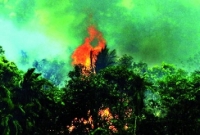 সীমান্তে মিয়ানমার বাহিনীর মুহুর্মুহু গুলি, আগুন, ছুটাছুটি