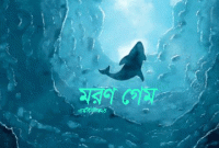নীল তিমি ফাঁদে পড়েই অকালে ঝড়ে গেল যুবকের প্রাণ