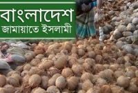 দুর্গাপুজা উপলক্ষে নারিকেল বিতরণ করছে জামায়াতে ইসলামী!