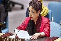 ভারত সন্ত্রাসবাদের মা, দাবি পাকিস্তানের