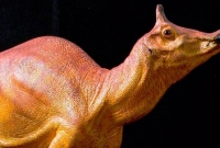 ৬ কোটি ৬০ লাখ বছর পর সেই হংস-ঠোঁট জীবটি হল স্টেট ডায়নোসর