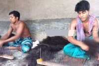 নারীদের চুলের কেজি ১৮ হাজার টাকা!