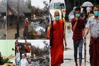 রোহিঙ্গা নির্যাতনের মুখে মিয়ানমারে ব্যাপক ছড়িয়ে পড়েছে ‘সোয়াইন ফ্লু’, মারা যাচ্ছে একের পর এক