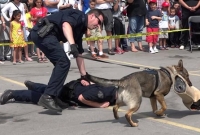 পিস্তল থেকে গুলি করল পুলিশ কুকুর!