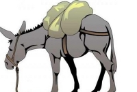 অাপনি যত উন্নতই হোন, সমালোচিত হবেনই