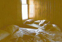 বিছানায় ঘুমোতে গিয়েছিলেন দম্পতি, কিন্তু অপেক্ষা করছিল অন্য কেউ! তার পরে...