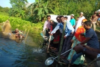 পলাশে ৬৭৬ কেজি মাছের পোনা অবমুক্তকরণ