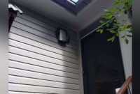  এই ছবিতে লুকিয়ে রয়েছে একটি বিশালাকার সাপ! দেখুন তো দেখতে পাচ্ছেন কিনা?