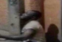 ল্যাম্পপোস্টে বেঁধে বেধড়ক মারধর! কাতর কন্ঠে বাঁচার আর্জি