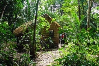 বউয়ের জ্বালায় অতিষ্ট হয়ে ১০ বছর ধরে জঙ্গলে বসবাস