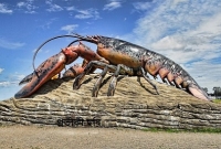 জালে ধরা পড়ল ‘ভুতুড়ে চিংড়ি’! মৎস্যজীবী তাজ্জব