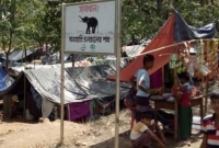 রোহিঙ্গা শরণার্থী শিবিরে বন্য হাতিরা হামলা করছে কেন?