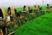 জেনে নেই বাংলাদেশের জনপ্রিয় পর্যটন কেন্দ্রগুলো