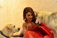 দুই ‘ছেলে’ অর্থাৎ তাঁর দুই পোষ্যকে নিয়ে প্রকাশ্যে এলেন মিমি!