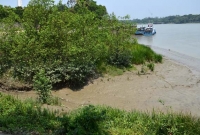 ঝোপের আড়ালে উঁকি দিচ্ছে অতীতের গোপন কলঙ্ক