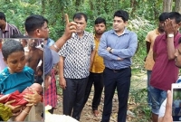 পাগলিটাও মা হয়েছে, তবে বাবা হয়নি কেউ পাগলি বলে