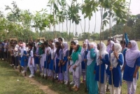 মীরগঞ্জ হাইস্কুলে বৃক্ষরোপণ উৎসব