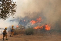 ভয়াবহ দাবানলে পুড়েছে ৮৪০০ বাড়ি, নিহত ৪২