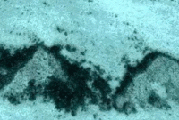 মহাসাগরের গভীরে খোঁজ মিলল রহস্যজনক পিরামিডের