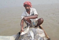 পশ্চিমবঙ্গের গঙ্গা পাড়ে পানির দামেই মিলছে পদ্মার ইলিশ