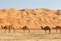 সৌদি আরবে মরুভূমির নিচে বিশাল সম্পদের সন্ধান!‌