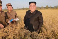 কিমের পরীক্ষায় ক্লান্ত, পর্বত বদলাচ্ছে জায়গা!