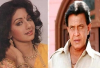 আসলেই কি গোপনে শ্রীদেবীকে বিয়ে করেছিলেন মিঠুন?