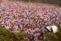  হোমনায় চির নিদ্রায় শায়িত হলেন এম কে আনোয়ার