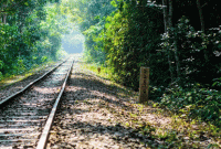 রেল লাইনের ঝোপ থেকে ভেসে আসছিল মৃদু কান্নার আওয়াজ, এগিয়ে যেতেই দেখলো...