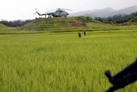রোহিঙ্গাদের ৭১ হাজার একর জমির ধান কাটছে মিয়ানমার