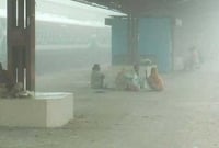  বইতে শুরু করেছে শীতের হাওয়া